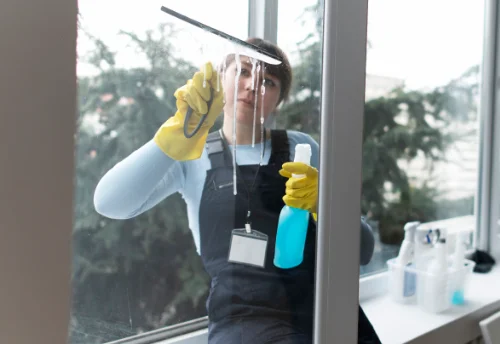 Nettoyage de vitres intérieures et extérieures à Teissières-de-Cornet